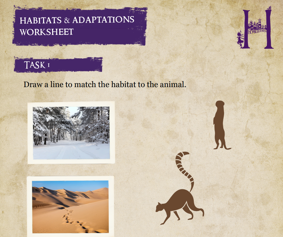 Haworksheet2