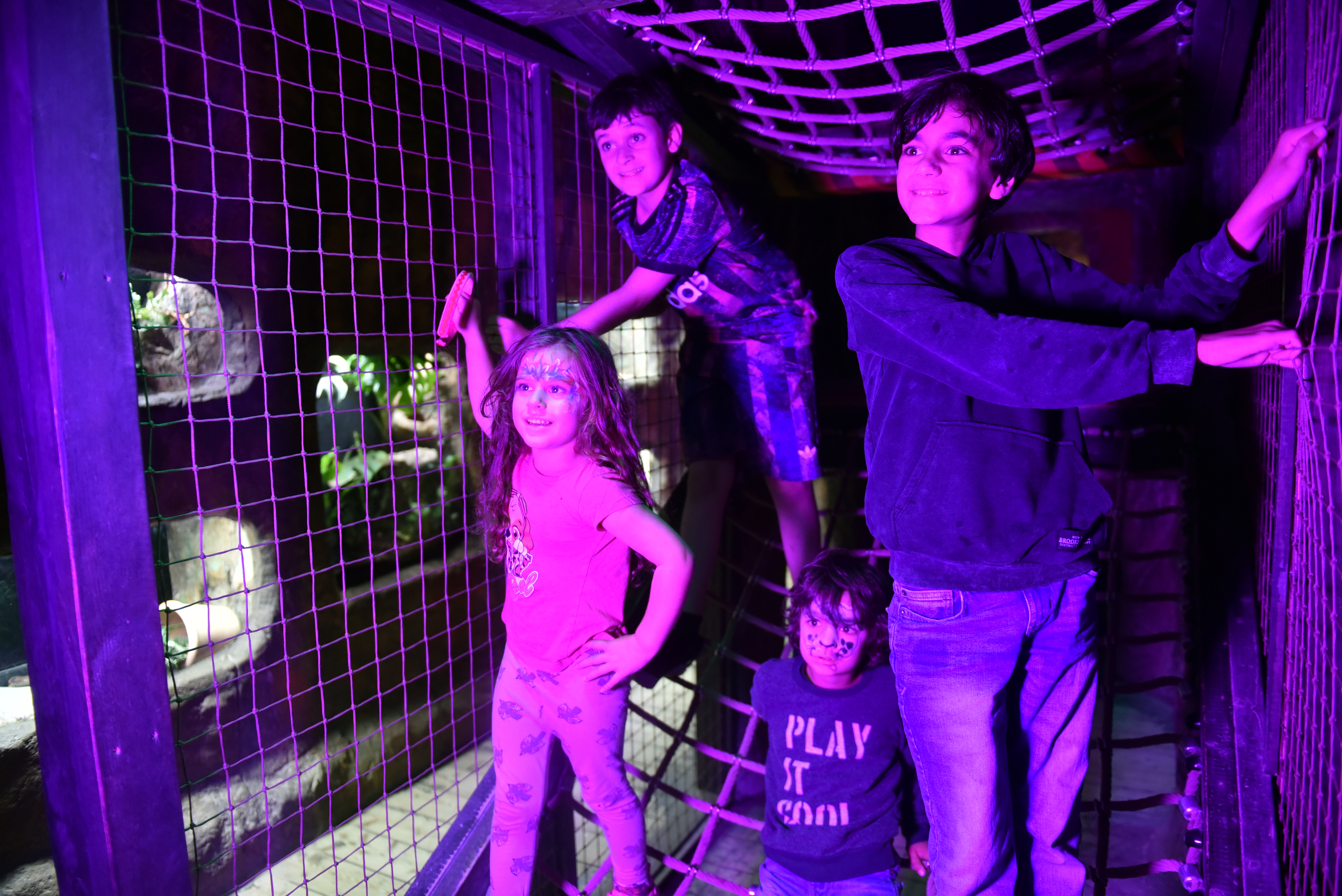 Imaginarium