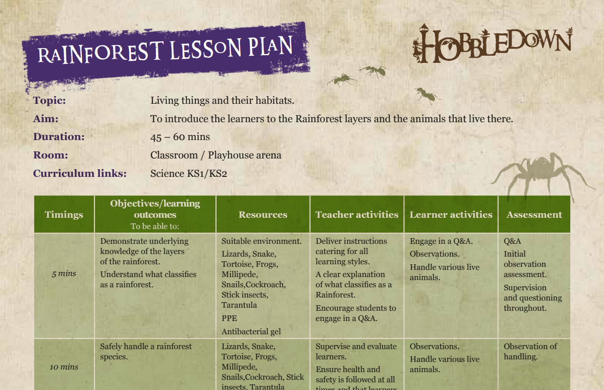 Rainforestplan