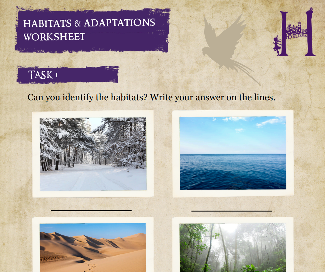 Haworksheet1