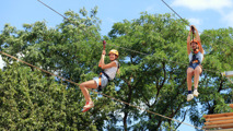 Ziptrek4 (2)