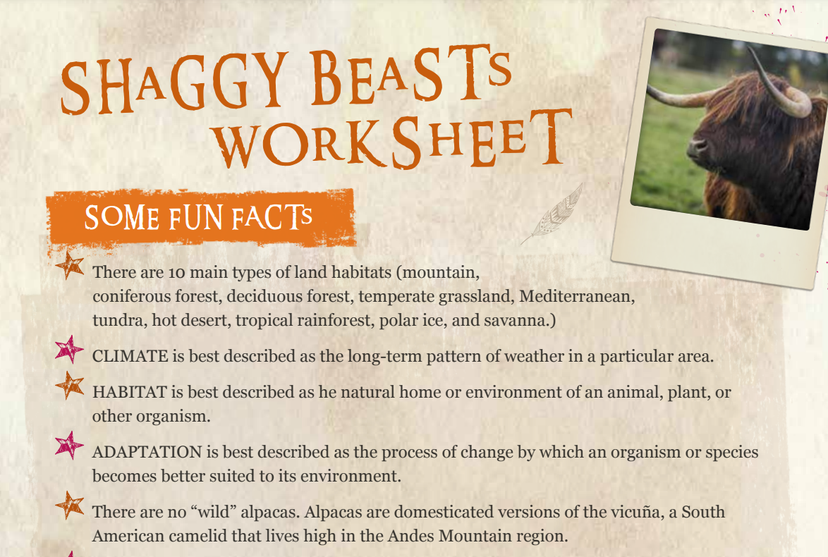 Shaggybeastsworksheet (1)