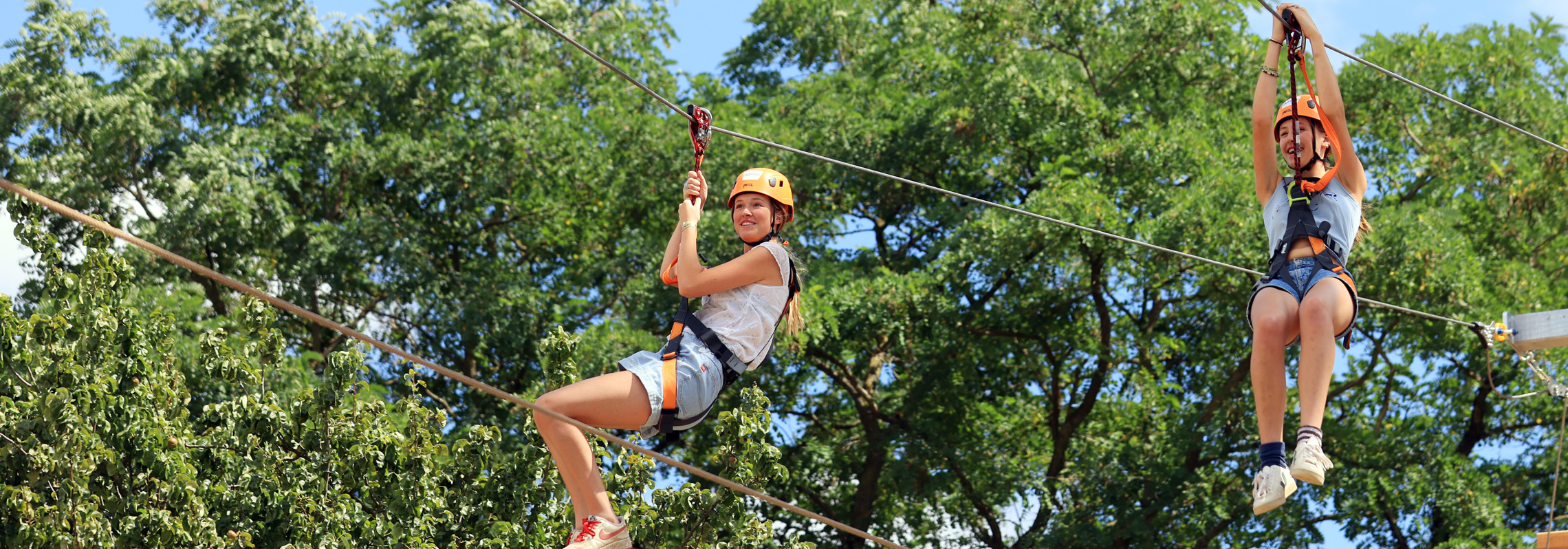 Ziptrek4