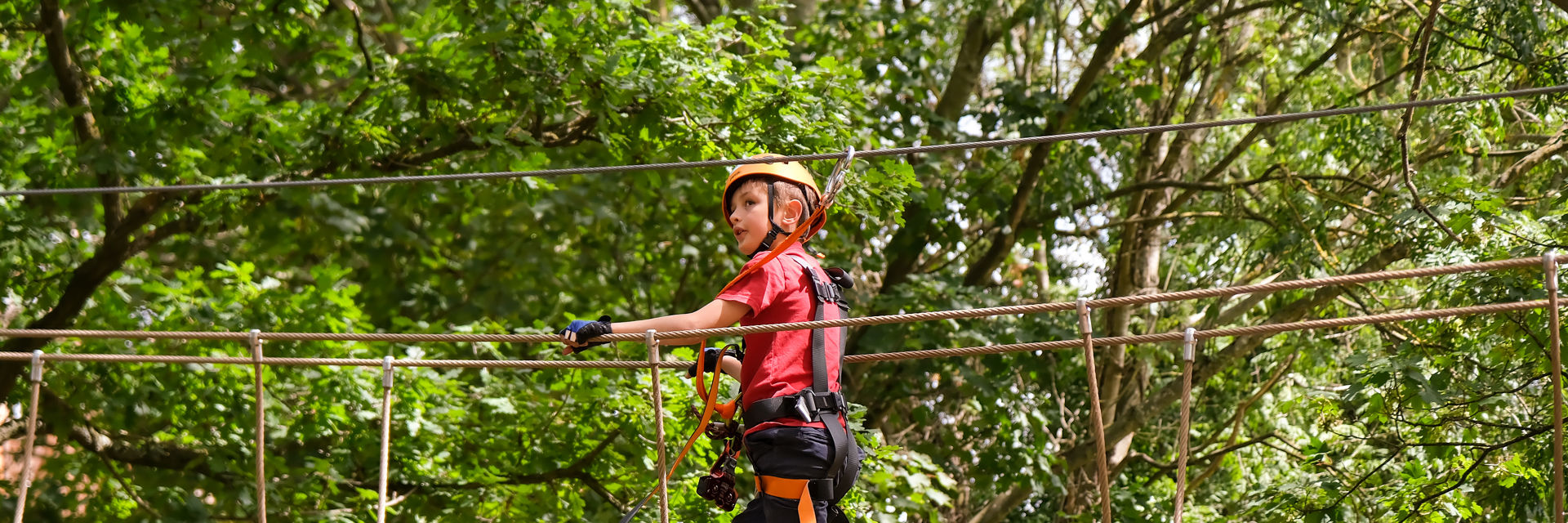 Hig Ropes Crossing