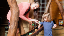 Playbarnwoodencastle