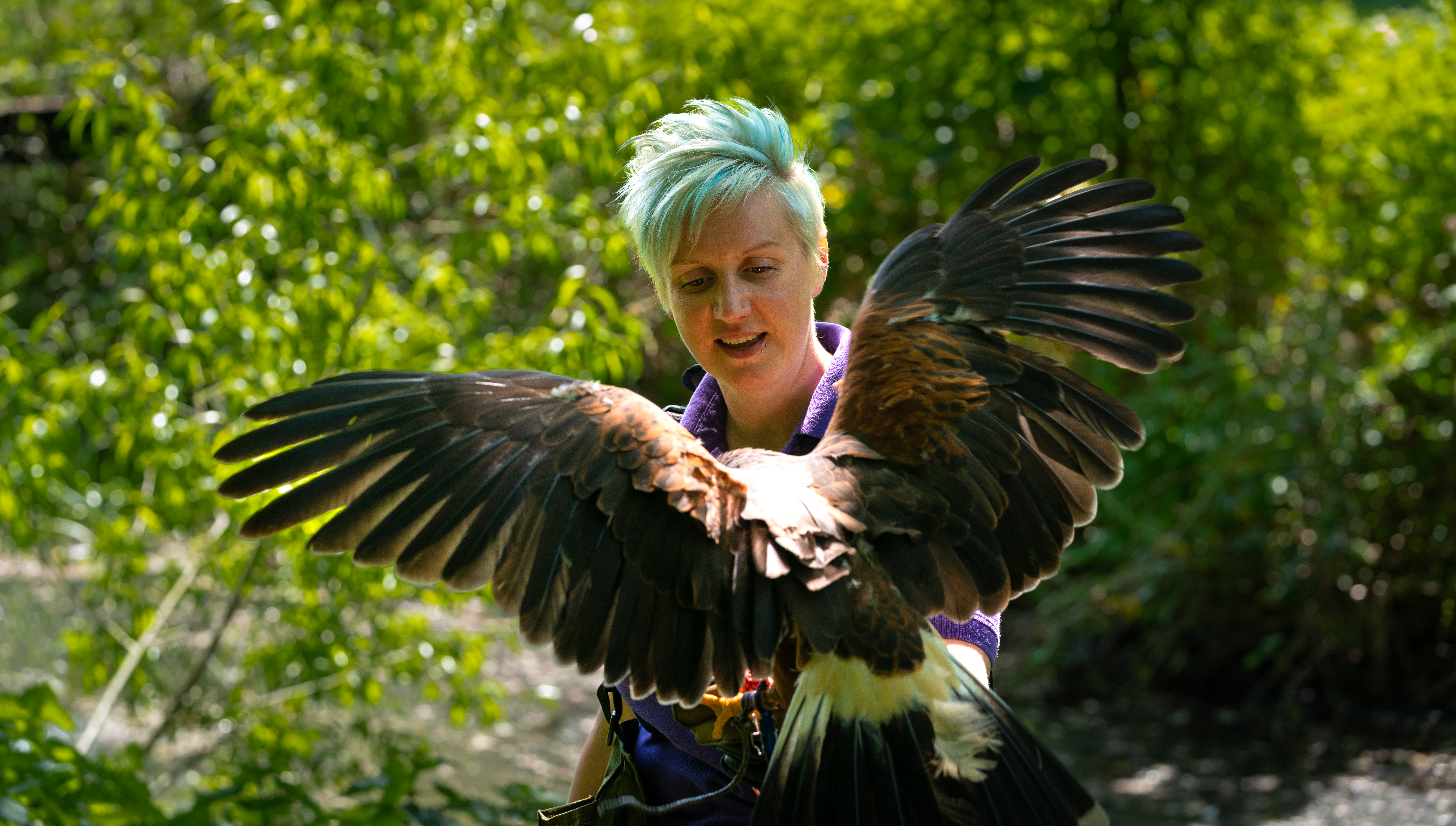 Handler and Bird of Prey
