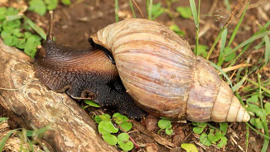 Shutterstock 436227301