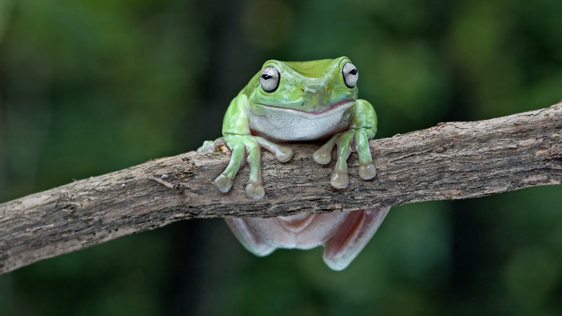 Shutterstock 1037701