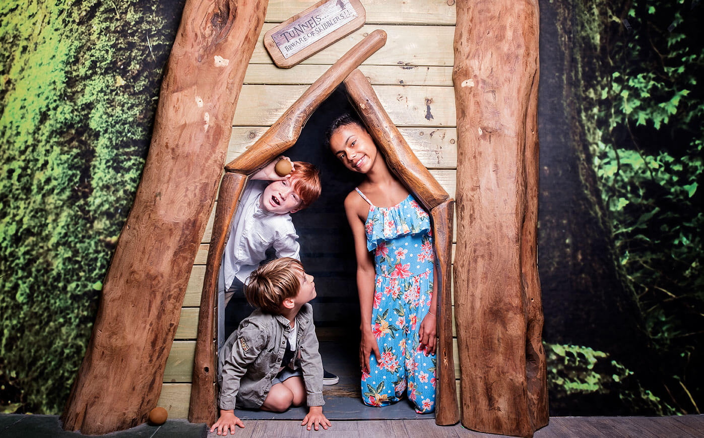 Indoor Play Barn Hobbledown