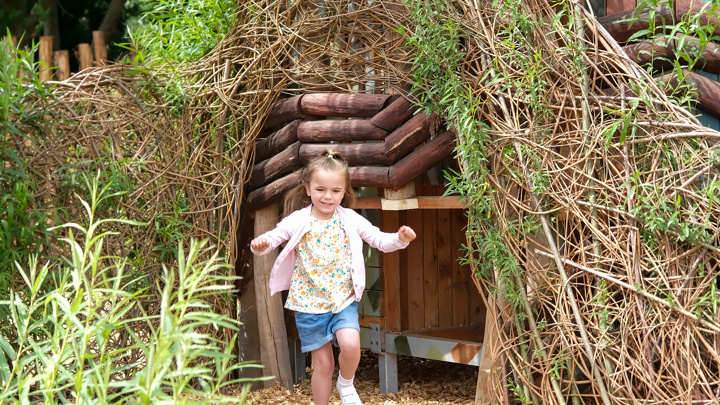 Wildernesswood1