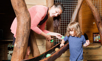 Playbarnwoodencastle