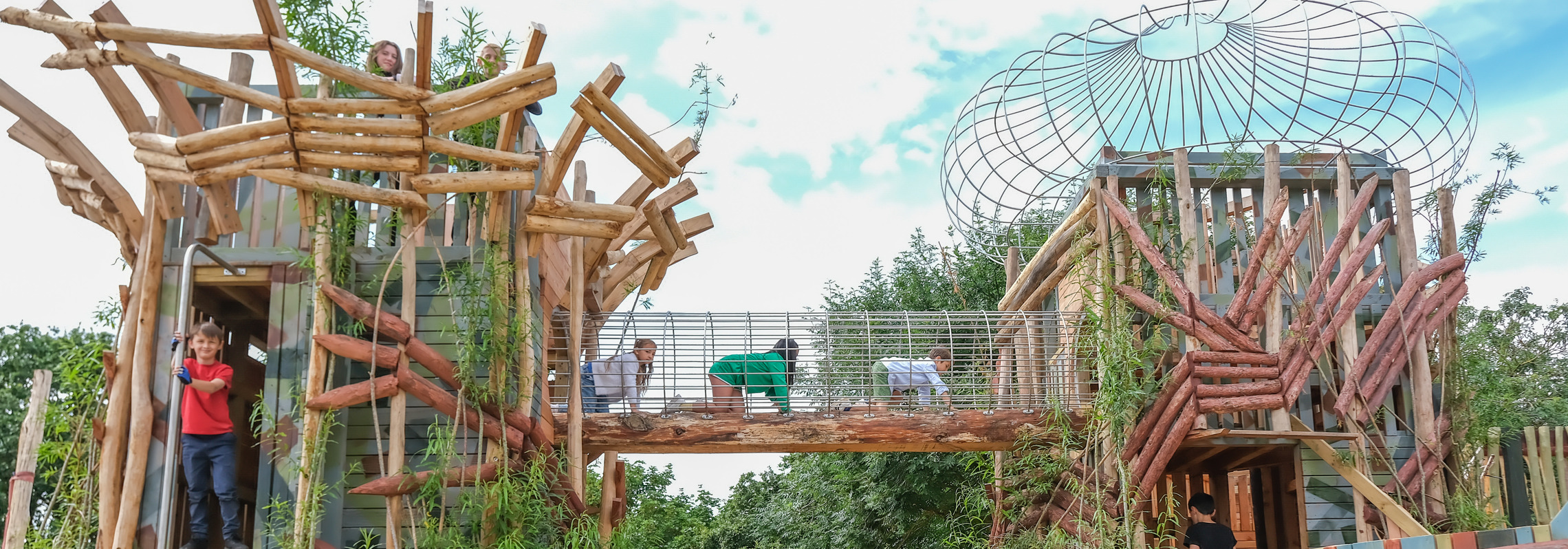 Wildernesswood2