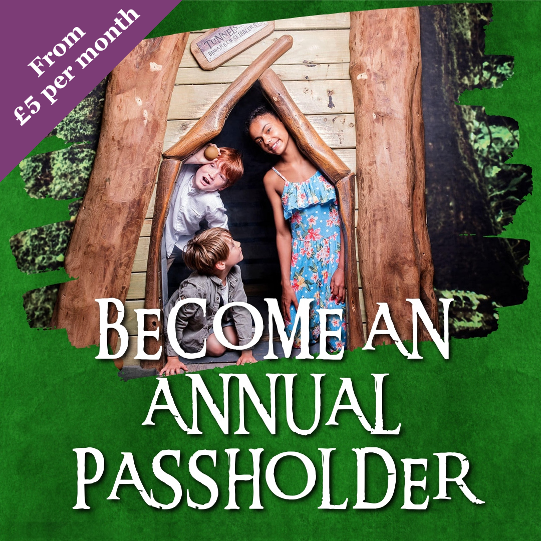 Children playing in a wooden playhouse at Hobbledown Epsom promoting annual passholder membership