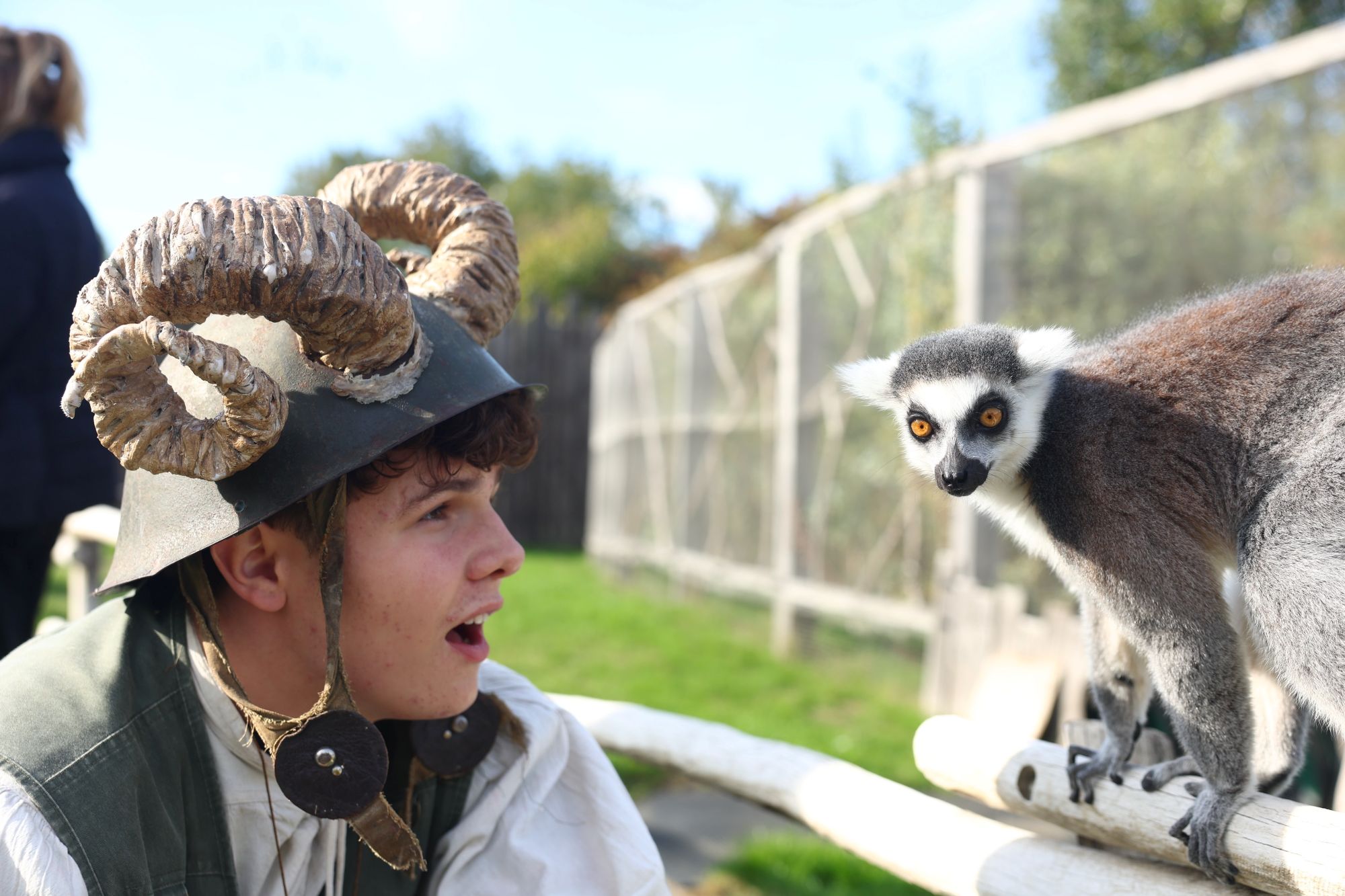 Lemur Character