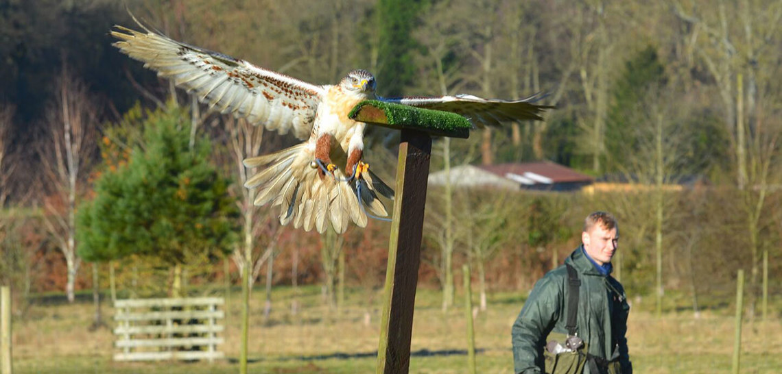 Educational Visits Willows