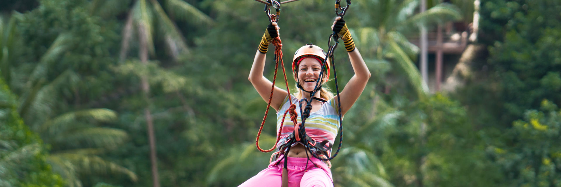 Istock 1157735556 (1)