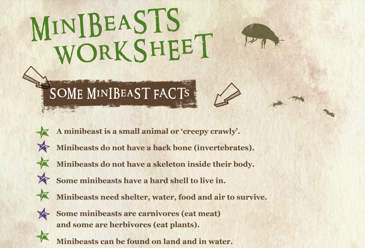 Minibeastsheet