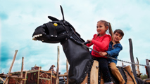 Horse088