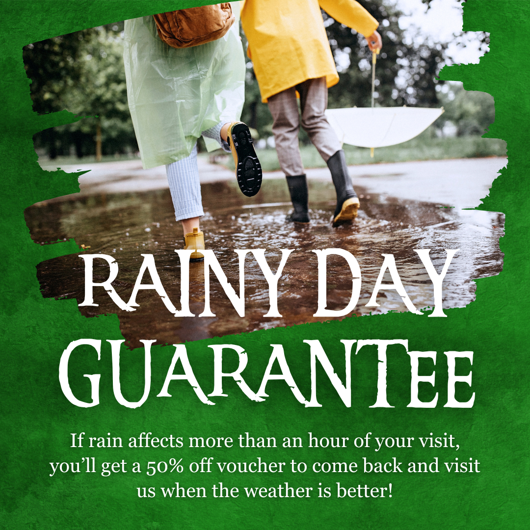 Rainy Day Guarantee (1)
