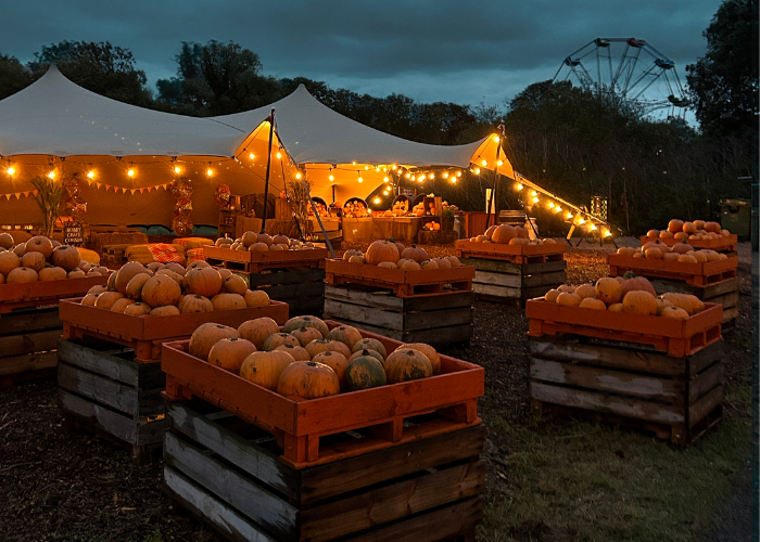 Pumpkin Nights 1080 X 500 Px