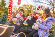 Children On Sleigh