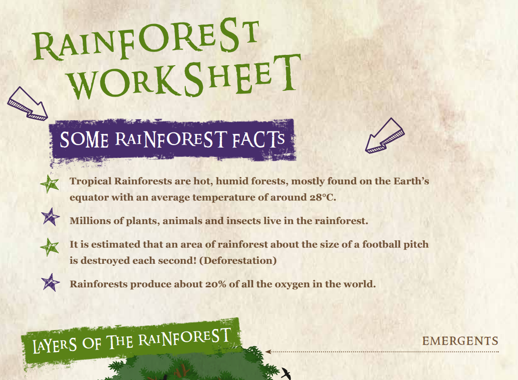 Rainforestsheet