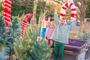 Boys On Sleigh Candy Canes