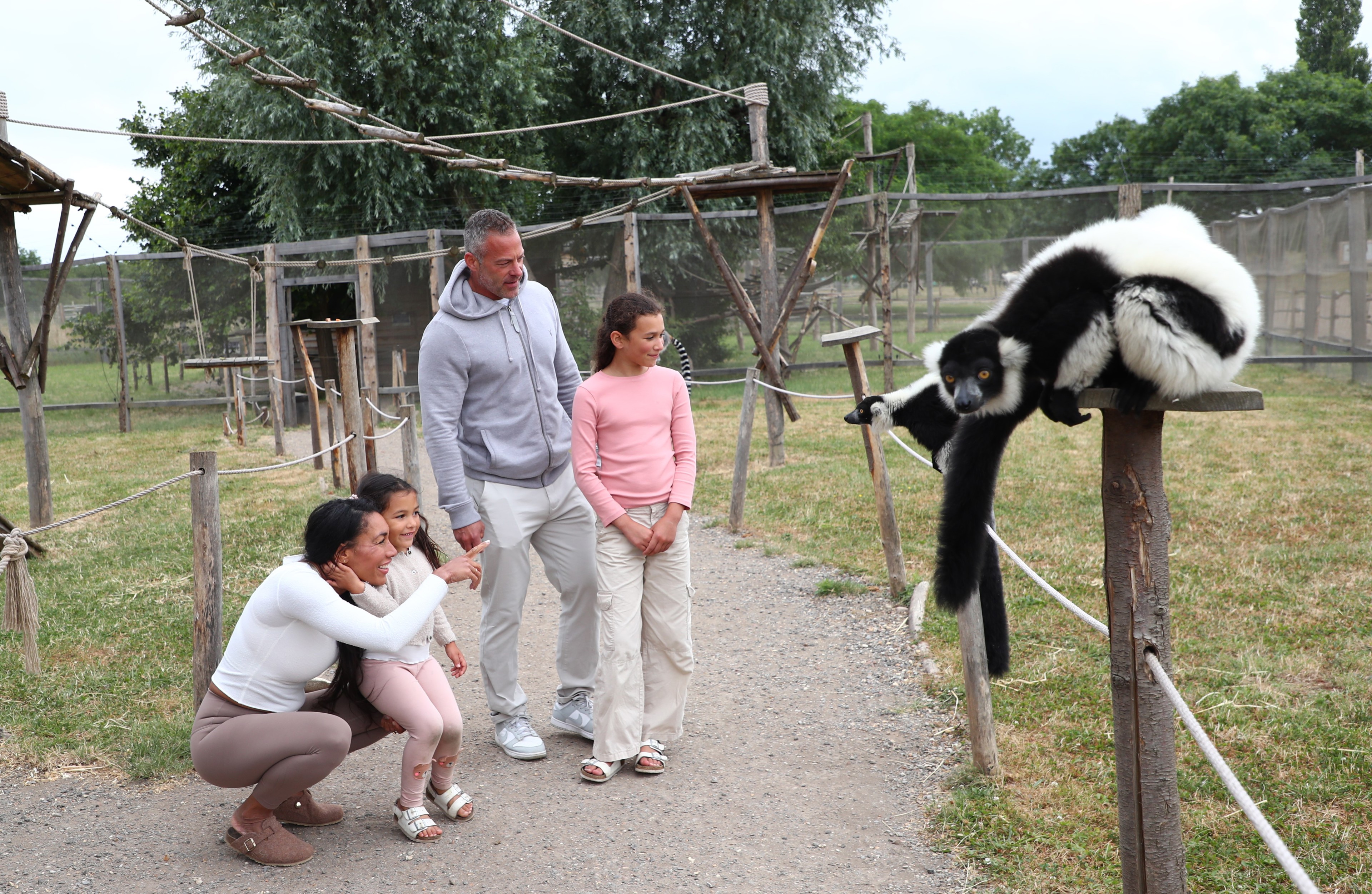Lemur 2