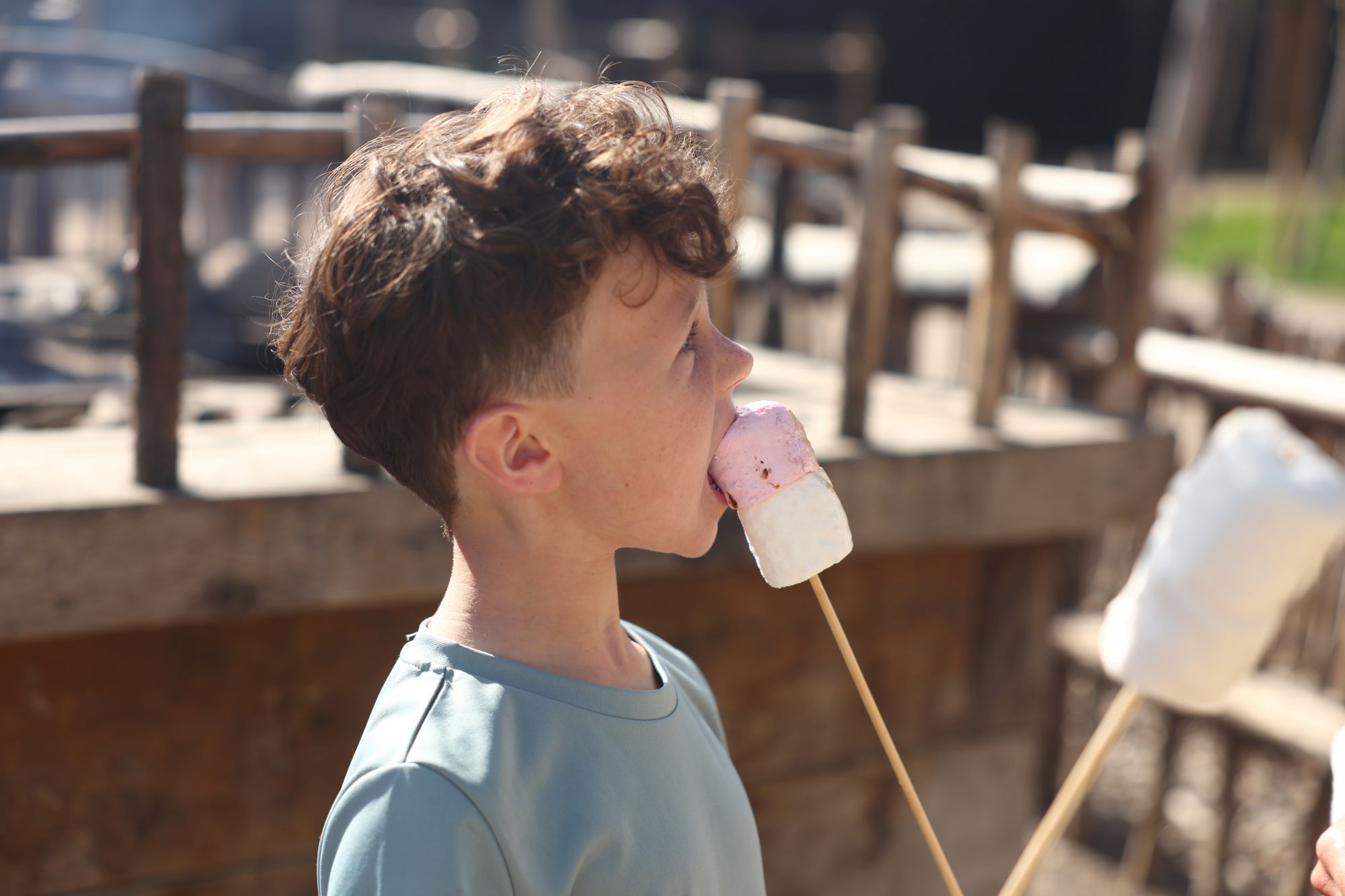 Marshmallow Toasting